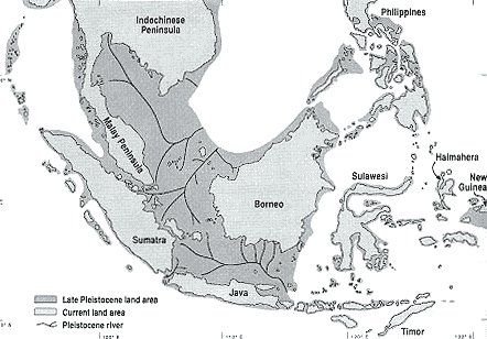 During the recent Ice Age, sea level dropped to about 120 meters below the present level, exposing huge areas as dry land, but the Philippines remained isolated by deep channels. The former riverbeds are still visible on the shallow sea-floor between Boneo and Java, Samatra,and the Malay Peninsula. (Source: Heaney 1991; Fairbanks, 1989) 